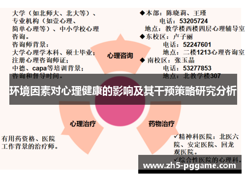 环境因素对心理健康的影响及其干预策略研究分析
