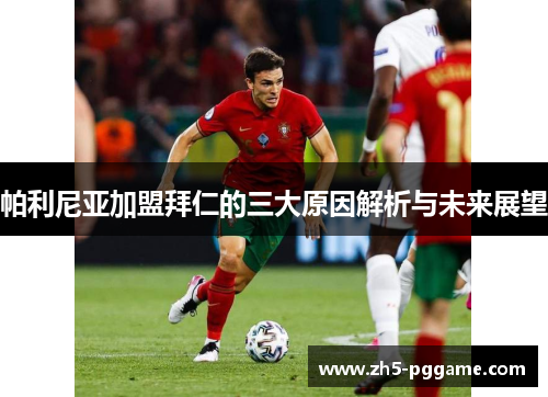 帕利尼亚加盟拜仁的三大原因解析与未来展望