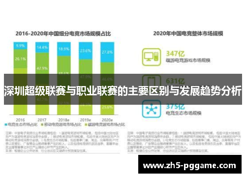 深圳超级联赛与职业联赛的主要区别与发展趋势分析