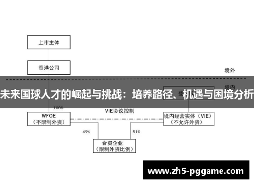 未来国球人才的崛起与挑战：培养路径、机遇与困境分析
