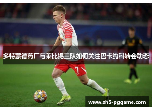 多特蒙德药厂与莱比锡三队如何关注巴卡约科转会动态