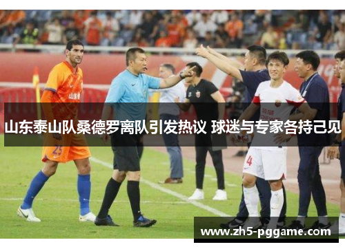 山东泰山队桑德罗离队引发热议 球迷与专家各持己见