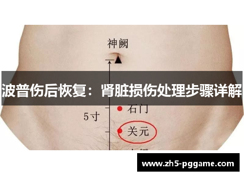 波普伤后恢复：肾脏损伤处理步骤详解