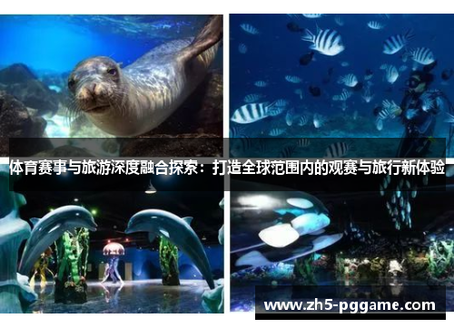 体育赛事与旅游深度融合探索：打造全球范围内的观赛与旅行新体验