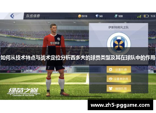 如何从技术特点与战术定位分析西多夫的球员类型及其在球队中的作用