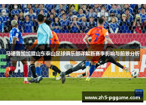 马德鲁加加盟山东泰山足球俱乐部详解新赛季影响与前景分析 马德鲁加加盟山东泰山足球俱乐部详解新赛季影响与前景分析