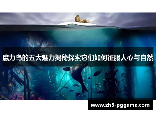 魔力鸟的五大魅力揭秘探索它们如何征服人心与自然