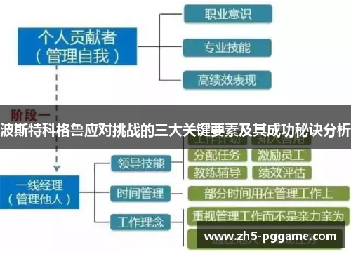 波斯特科格鲁应对挑战的三大关键要素及其成功秘诀分析